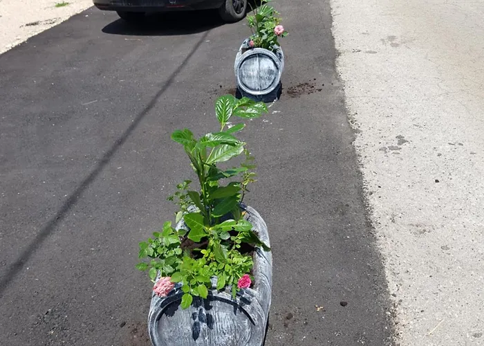 Apartment Mirsando *